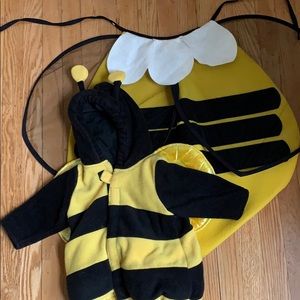 Two Sibling Bumble Bee Halloween Costumes